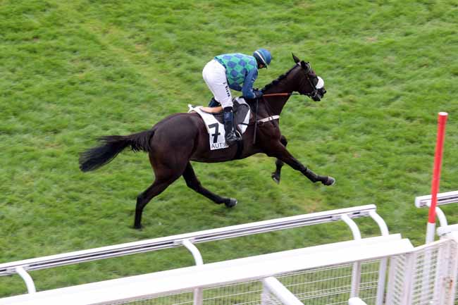 Arrivée quinté pmu PRIX MELANOS à AUTEUIL