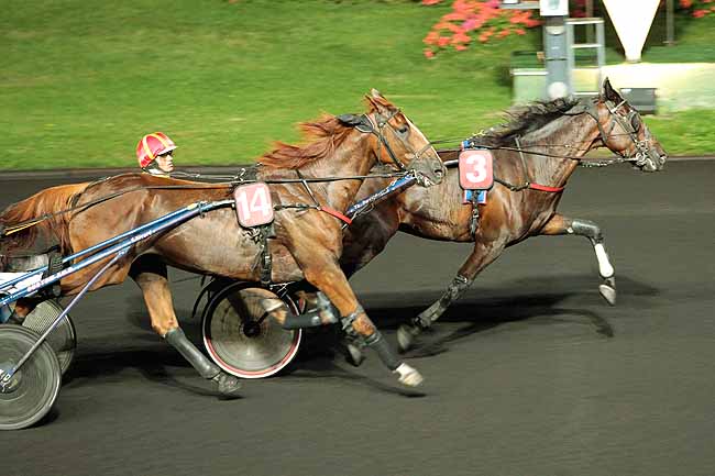 Arrivée quinté pmu PRIX AGLAJA à PARIS-VINCENNES