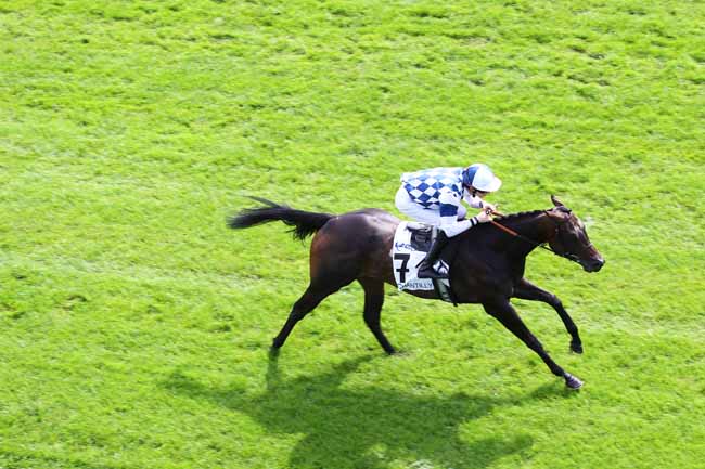 Arrivée quinté pmu PRIX DE SURVILLIERS à CHANTILLY