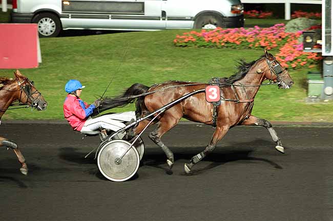 Arrivée quinté pmu PRIX GUERICKE à PARIS-VINCENNES