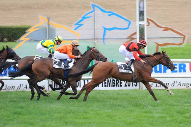 Arrivée quinté pmu PRIX DE CHATEAUNEUF-SUR-SARTHE à LE LION D'ANGERS