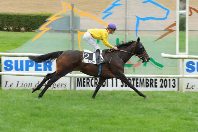 Arrivée quinté pmu PRIX PAUL SAULOU à LE LION D'ANGERS