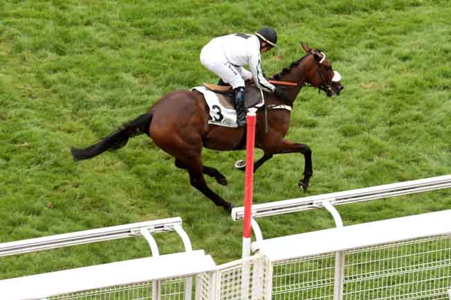 Arrivée quinté pmu PRIX PIERRE ET JEAN-MARIE MERCIER à AUTEUIL