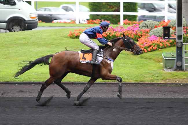 Arrivée quinté pmu PRIX GEORGES DREUX à PARIS-VINCENNES