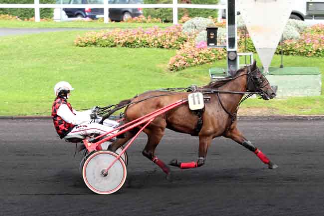 Arrivée quinté pmu PRIX DE NARBONNE à PARIS-VINCENNES