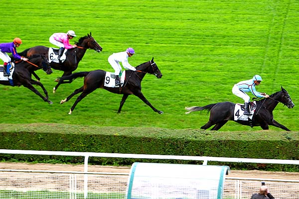 Arrivée quinté pmu PRIX MY LOVE à SAINT-CLOUD