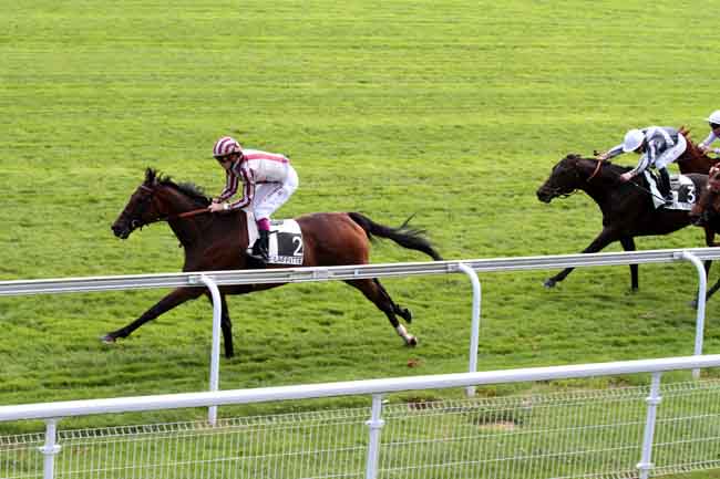 Arrivée quinté pmu LA COUPE DE MAISONS-LAFFITTE à MAISONS-LAFFITTE