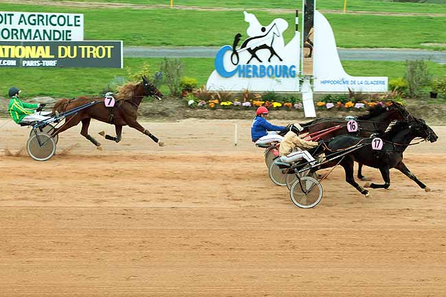 Arrivée quinté pmu PRIX ALBERT VIEL à CHERBOURG