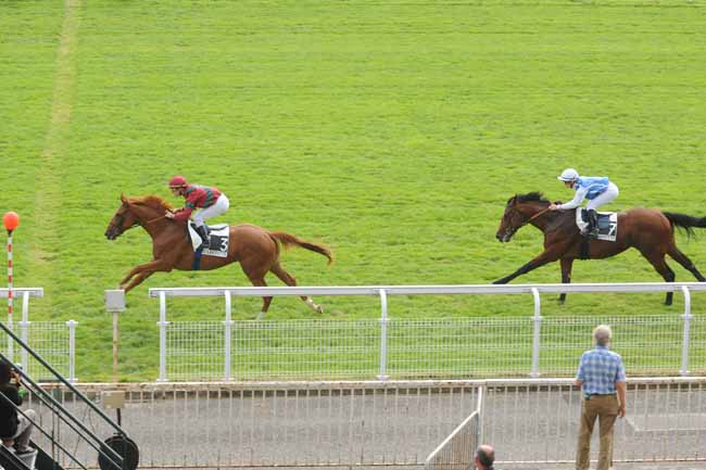 Arrivée quinté pmu PRIX COMMANDEUR à MAISONS-LAFFITTE