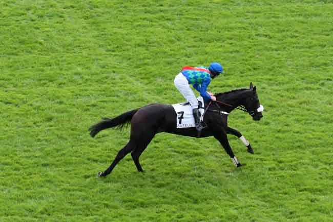 Arrivée quinté pmu PRIX DE NANTES à AUTEUIL