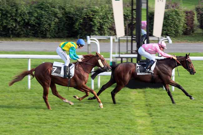Arrivée quinté pmu PRIX DE LEVIS-SAINT-NOM à MAISONS-LAFFITTE