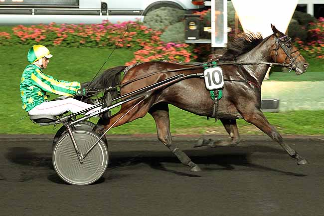 Arrivée quinté pmu PRIX DIONE à PARIS-VINCENNES