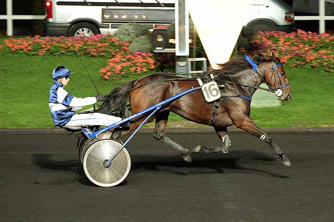 Arrivée quinté pmu PRIX MAJA à PARIS-VINCENNES