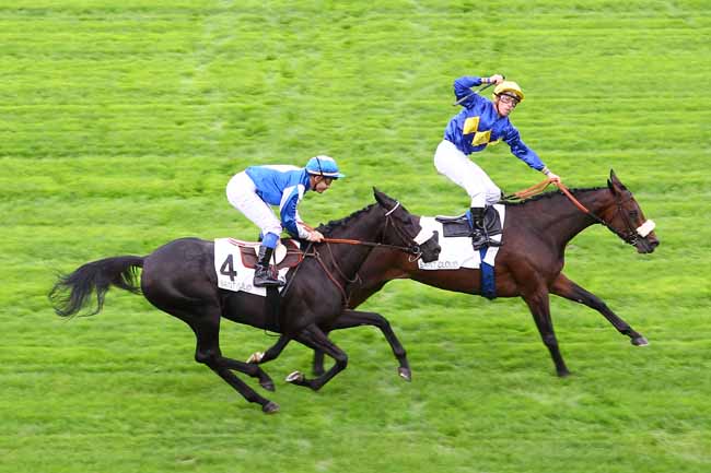 Arrivée quinté pmu PRIX GLORIEUSE à SAINT-CLOUD