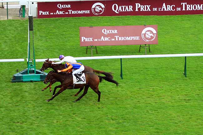Arrivée quinté pmu PRIX HORSE RACING ABROAD à LONGCHAMP