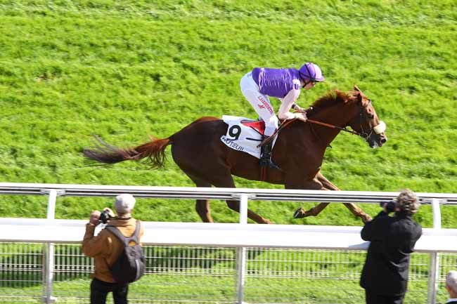 Arrivée quinté pmu PRIX PAUL'S CRAY à AUTEUIL
