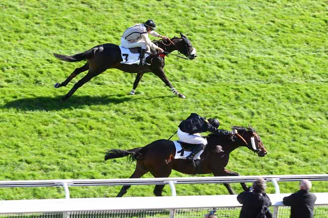 Arrivée quinté pmu PRIX GEORGES DE TALHOUET-ROY à AUTEUIL