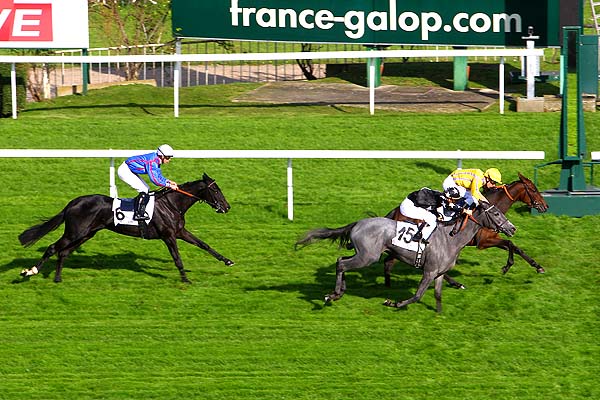 Arrivée quinté pmu PRIX ALIPS à SAINT-CLOUD