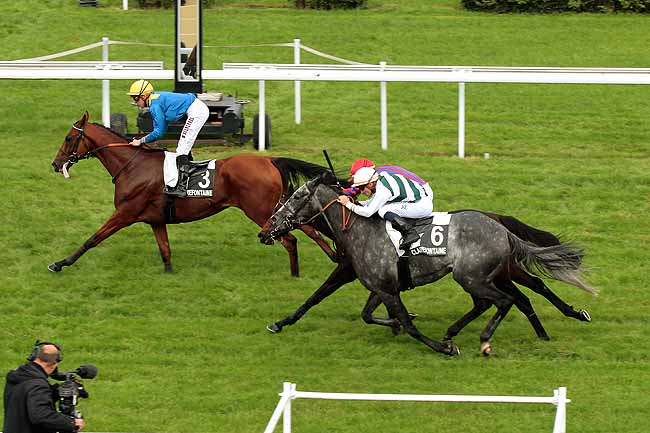 Arrivée quinté pmu PRIX DES FRESIAS à CLAIREFONTAINE