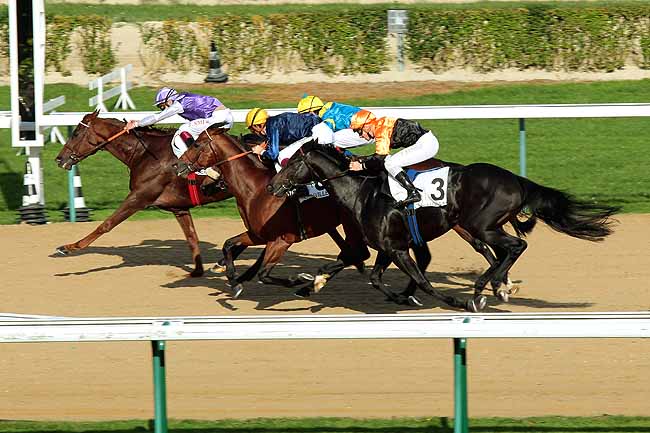 Arrivée quinté pmu PRIX D'ANGUERNY à DEAUVILLE