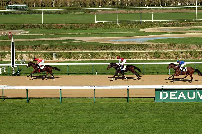 Arrivée quinté pmu PRIX DE LA FORET DE LYONS à DEAUVILLE