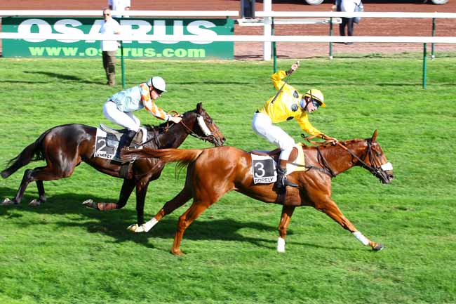 Arrivée quinté pmu PRIX DE SANARY à MARSEILLE-BORELY
