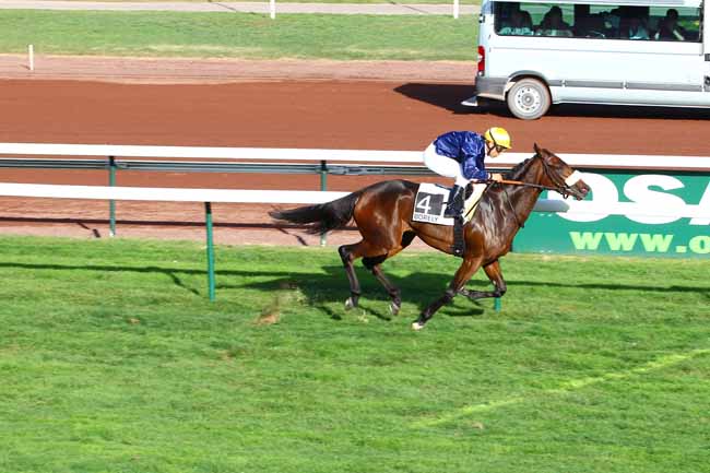 Arrivée quinté pmu PRIX GYPTIS à MARSEILLE-BORELY