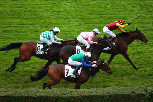 Arrivée quinté pmu PRIX PAUL-NOEL DELAHOUTRE à SAINT-CLOUD