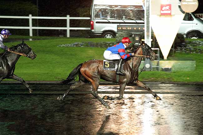Arrivée quinté pmu PRIX NORMA à PARIS-VINCENNES