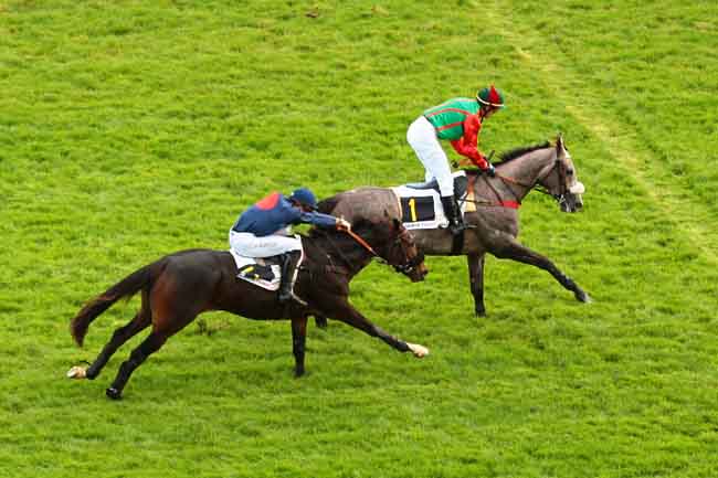 Arrivée quinté pmu PRIX BOURNOSIENNE à AUTEUIL