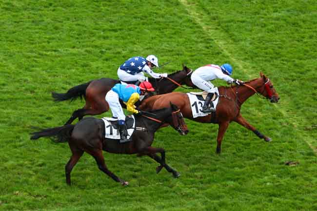 Arrivée quinté pmu PRIX DE PORNIC à AUTEUIL