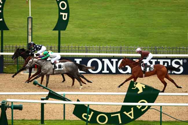 Arrivée quinté pmu PRIX DU PAVILLON à CHANTILLY