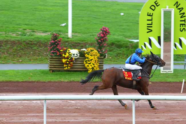 Arrivée quinté pmu PRIX FRANCE BLEU LOIRE OCEAN à NANTES