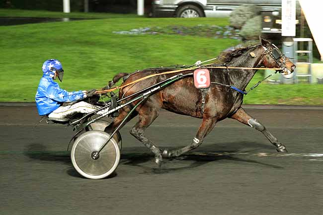 Arrivée quinté pmu PRIX DIKE à PARIS-VINCENNES