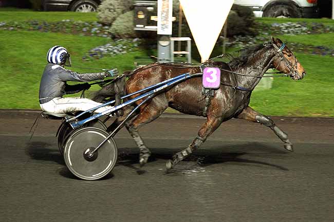 Arrivée quinté pmu PRIX FLORENTINA à PARIS-VINCENNES