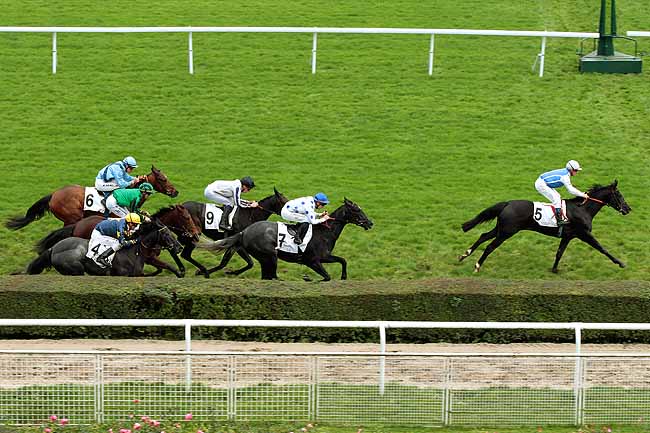 Arrivée quinté pmu PRIX URGENCE à SAINT-CLOUD