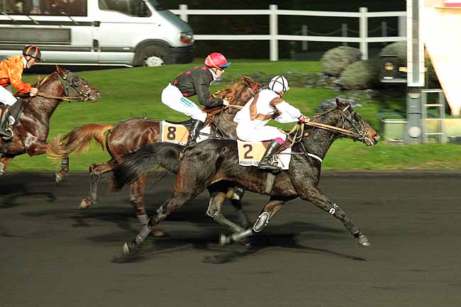 Arrivée quinté pmu PRIX DE DAX à PARIS-VINCENNES