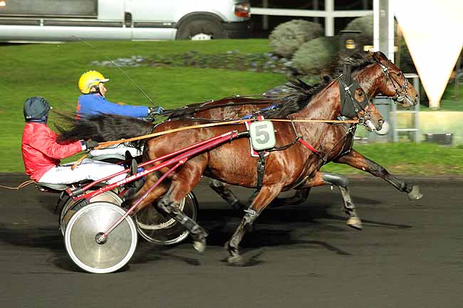 Arrivée quinté pmu PRIX DES BIGNONES à PARIS-VINCENNES
