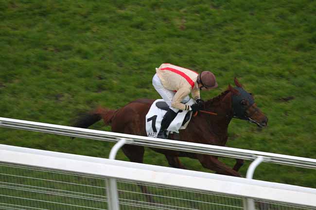 Arrivée quinté pmu PRIX OENEAS à AUTEUIL
