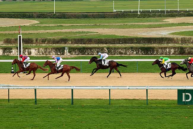 Arrivée quinté pmu PRIX DE BOIS CARROUGES (PELOTON A) à DEAUVILLE
