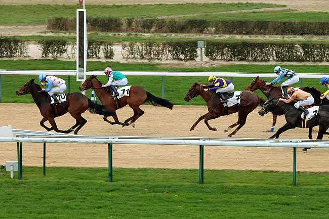 Arrivée quinté pmu PRIX DE ROIVILLE à DEAUVILLE