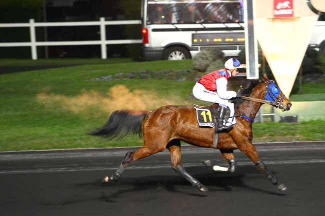 Arrivée quinté pmu PRIX DU COMITE REGIONAL D'EQUITATION D'ILE-DE-FRANCE à PARIS-VINCENNES