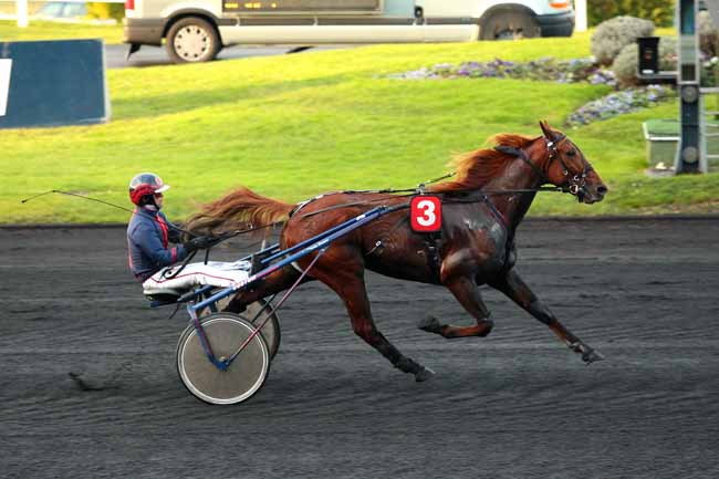 Arrivée quinté pmu PRIX DE PITHIVIERS à PARIS-VINCENNES