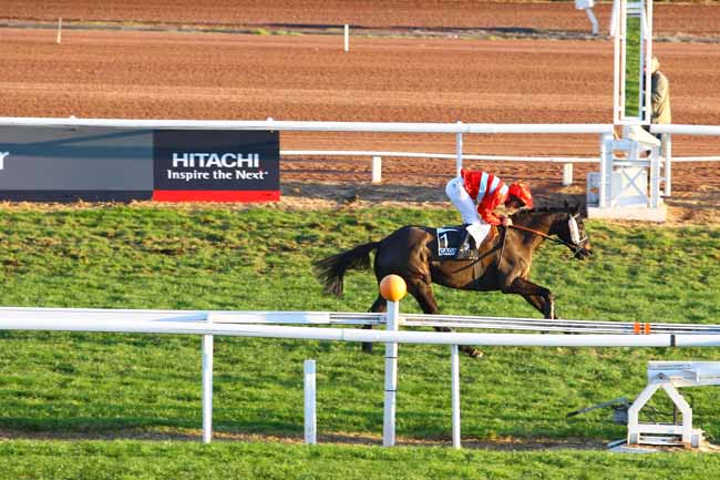 Arrivée quinté pmu PRIX DE LA TAMISE à CAGNES-SUR-MER