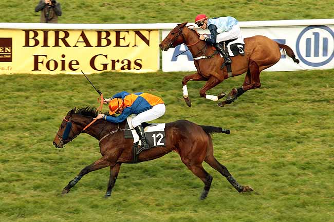 Arrivée quinté pmu PRIX DE SAINT-VINCENT à PAU