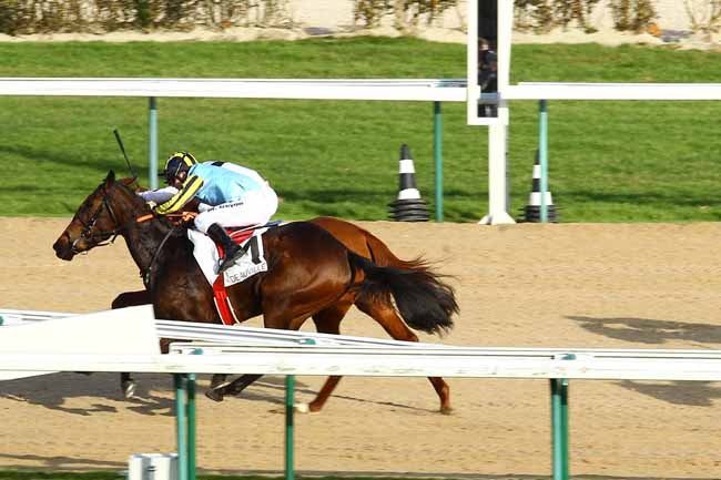 Arrivée quinté pmu PRIX DE LA HAUQUERIE (PELOTON A) à DEAUVILLE