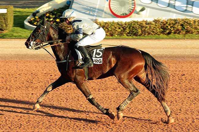 Arrivée quinté pmu PRIX DU BUIS à CABOURG
