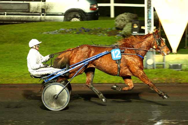 Arrivée quinté pmu PRIX DE MARLY à PARIS-VINCENNES