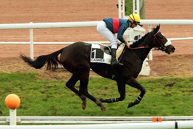 Arrivée quinté pmu PRIX DE LA BRETAGNE à CAGNES-SUR-MER