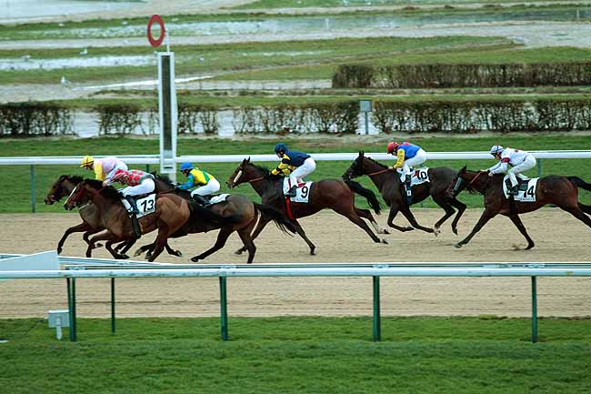 Arrivée quinté pmu PRIX DE SAINTE-MARIE-DU-MONT à DEAUVILLE